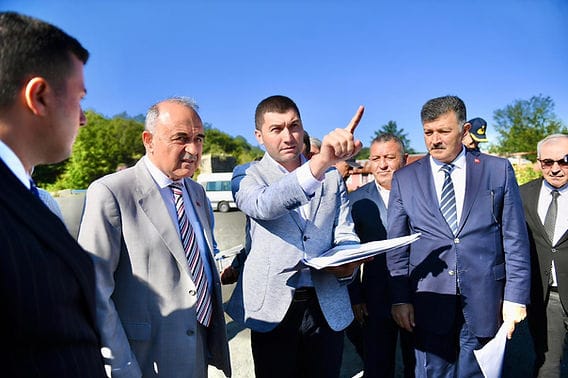 sokak hayvanlari dogal yasam alani 1 yCPXqGae