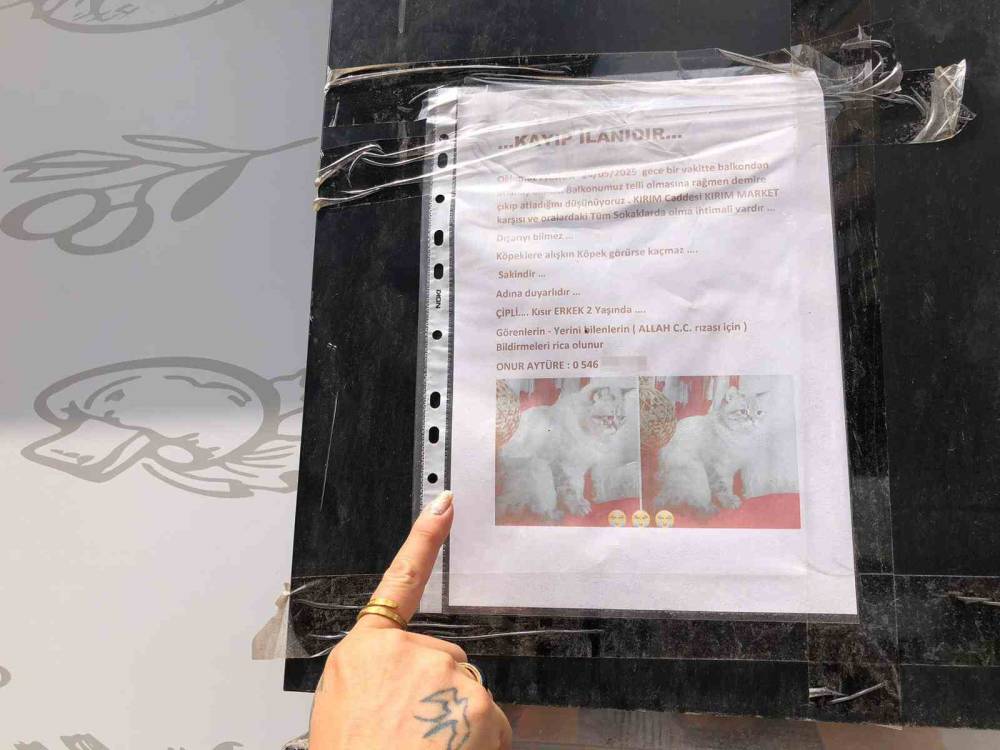 sokak sokak kaybolan kedisini ararken duyarsiz vatandaslarin tavrina uzuldu 0