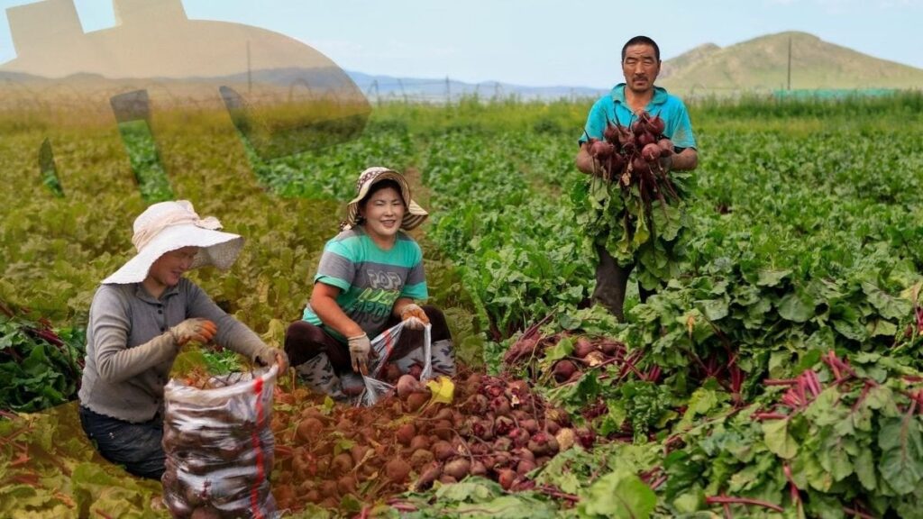 tarim mogol ekonomisini sirtladi vaUTy9sv