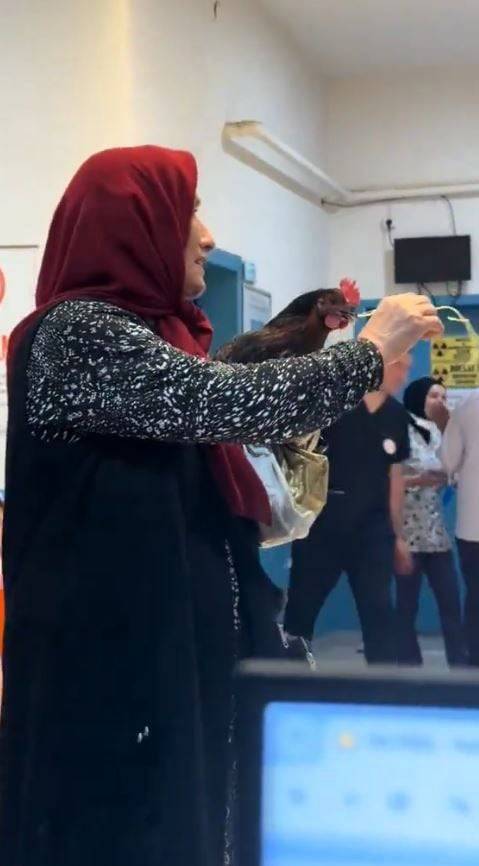 tavukla hastaneye geldi karadeniz fikrasi gibi olay ciftcinin talebi saskina cevirdi 0 XBpHRTU3