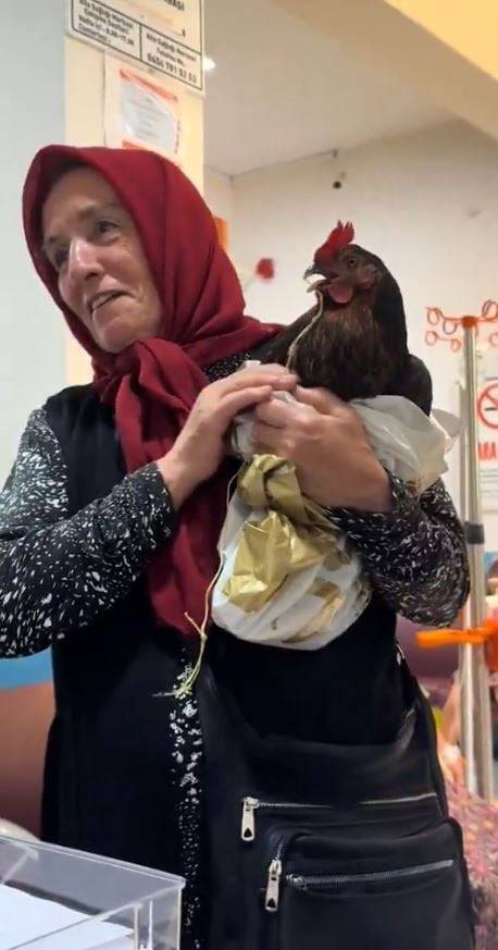 tavukla hastaneye geldi karadeniz fikrasi gibi olay ciftcinin talebi saskina cevirdi 3