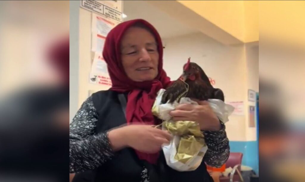 tavukla hastaneye geldi karadeniz fikrasi gibi olay ciftcinin talebi saskina cevirdi MXRNvGsz