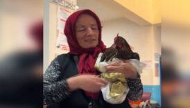 tavukla hastaneye geldi karadeniz fikrasi gibi olay ciftcinin talebi saskina cevirdi MXRNvGsz