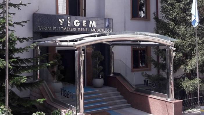 tigemden safkan arap taylari icin dev ihale 1 njmpvtRh
