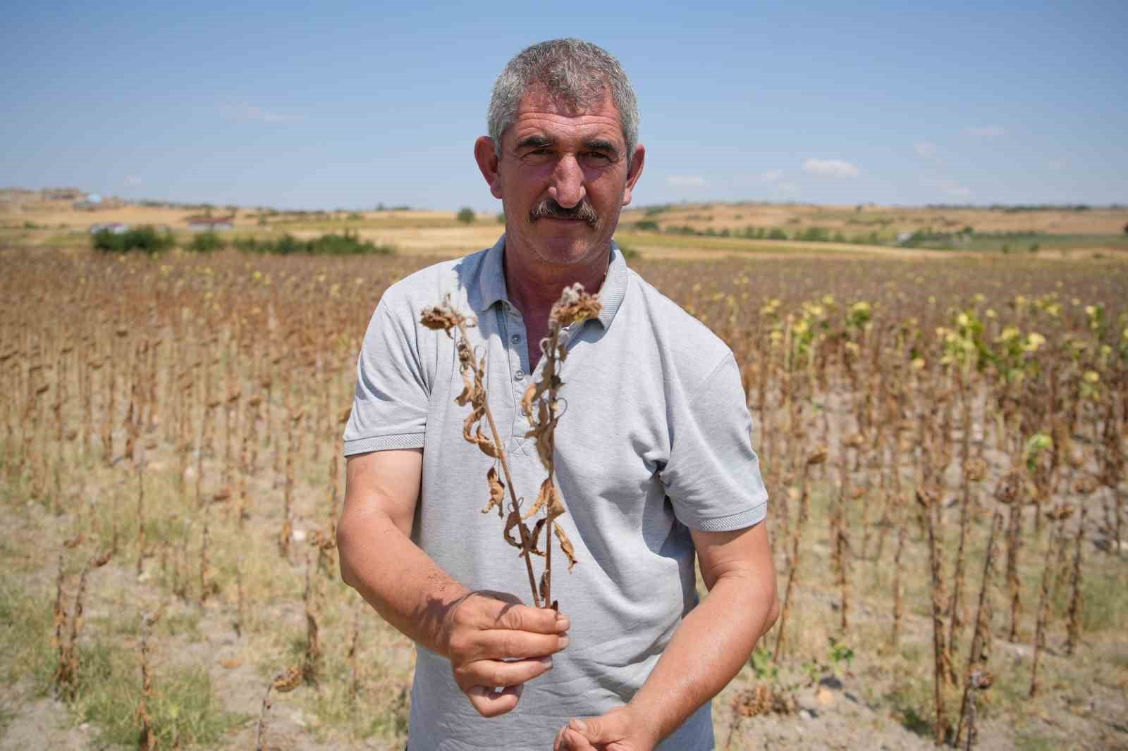 trakya birlikin aycicegi avans fiyatina tepki 2 j5bykSUr