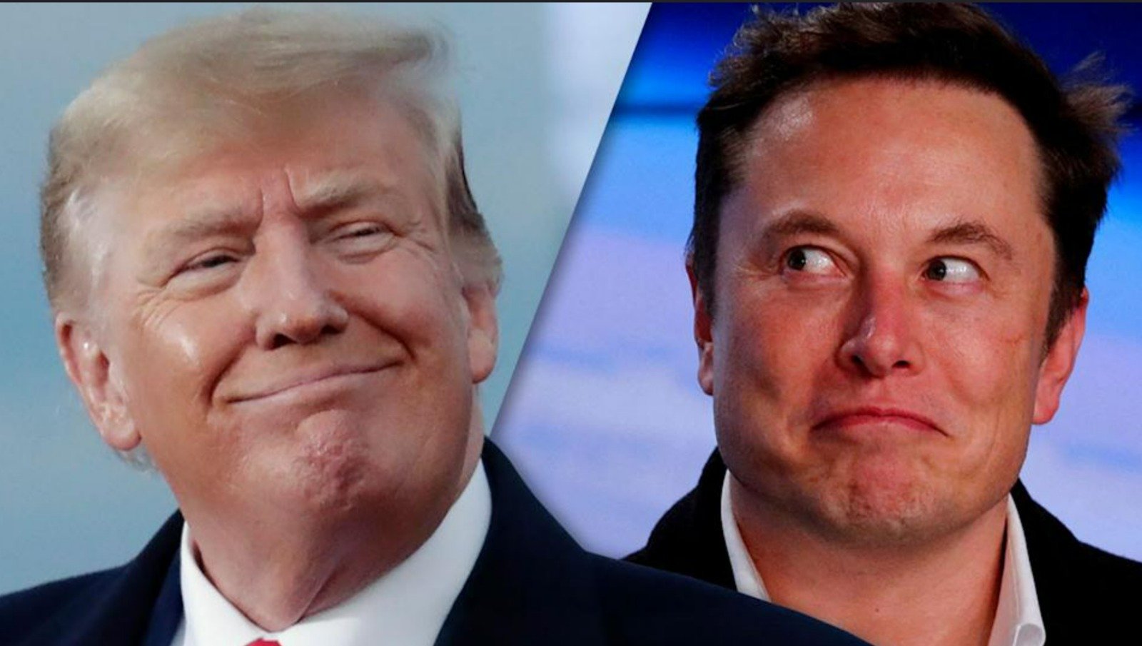trumptan elon muska karsi sasirtan hamle 0 qVOrwmbm