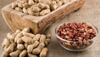 turkiyeden gonderilen fistiklarda kanser riski sinirdan geri cevrildi Gt6SpTiC