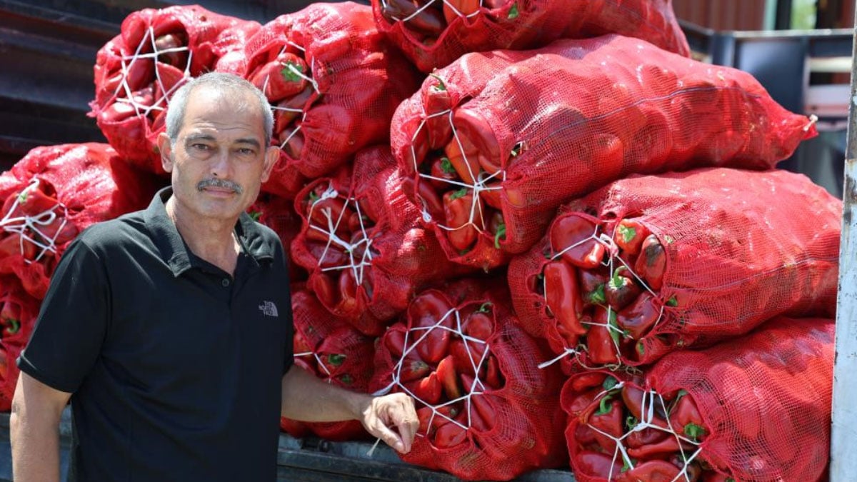 ve telas basladi tarladan pazara pazardan sofralara uzanan yolculuk 1 7ZIYX7OW