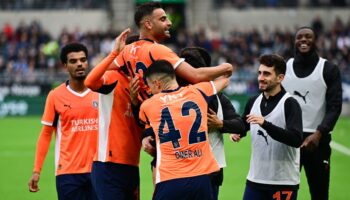 yapay zeminde viking degil boz baykus ottu tYSgERKz