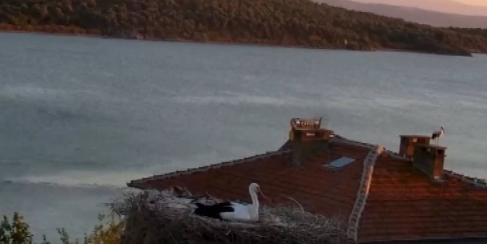 yaren leylek sindirga depremini canli yayinda hissetti adem amca ile dostlugu filmlere konu olmustu 5jPOJ5AX