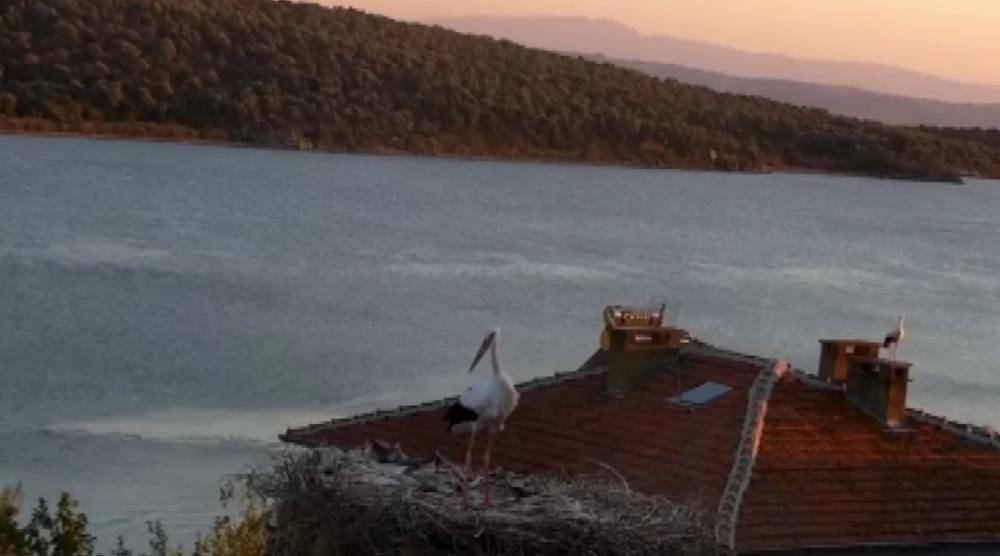 yaren leylek sindirga depremini canli yayinda hissetti adem amca ile dostlugu filmlere konu olmustu TUGFK3cE