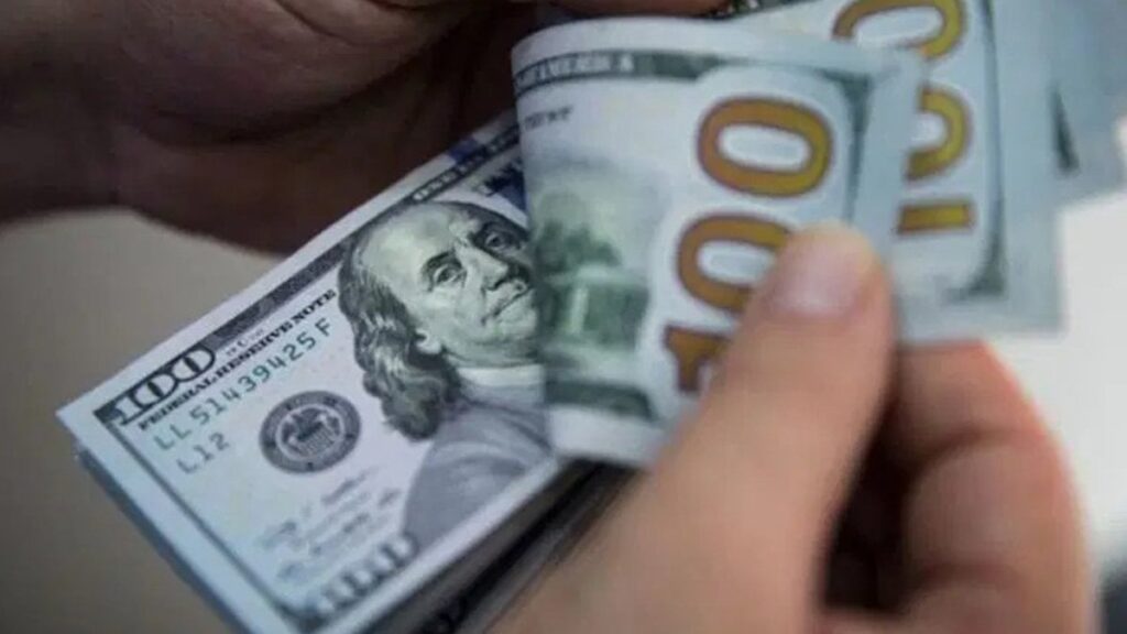 yil sonu icin korkutan dolar tahmini unlu ekonomistten sok aciklamalar devaluasyon yapildi bile MPQpROXw