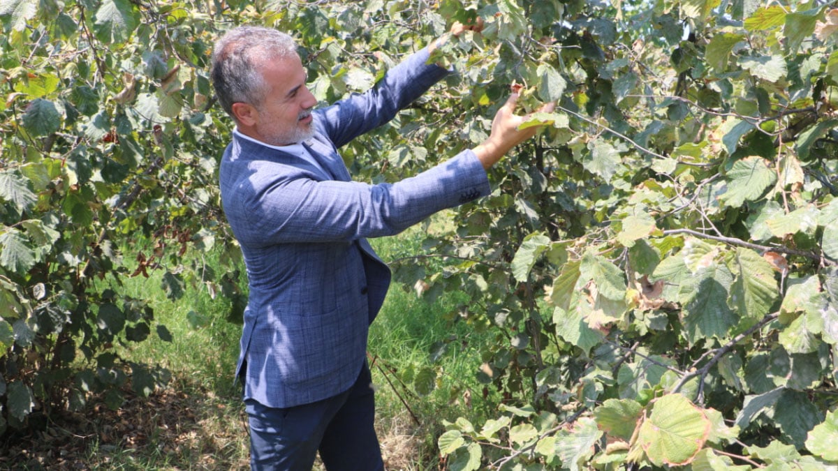 yrpli kilictan findik fiyati aciklamasi 6 dolar ya da 250 tl uzerinde olmalidir 0 VENmVdse