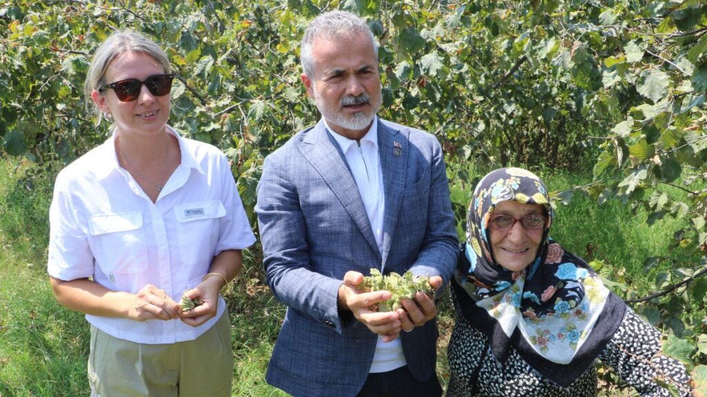 yrpli kilictan findik fiyati aciklamasi 6 dolar ya da 250 tl uzerinde olmalidir qc5CESrK