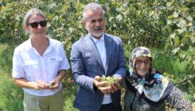 yrpli kilictan findik fiyati aciklamasi 6 dolar ya da 250 tl uzerinde olmalidir qc5CESrK