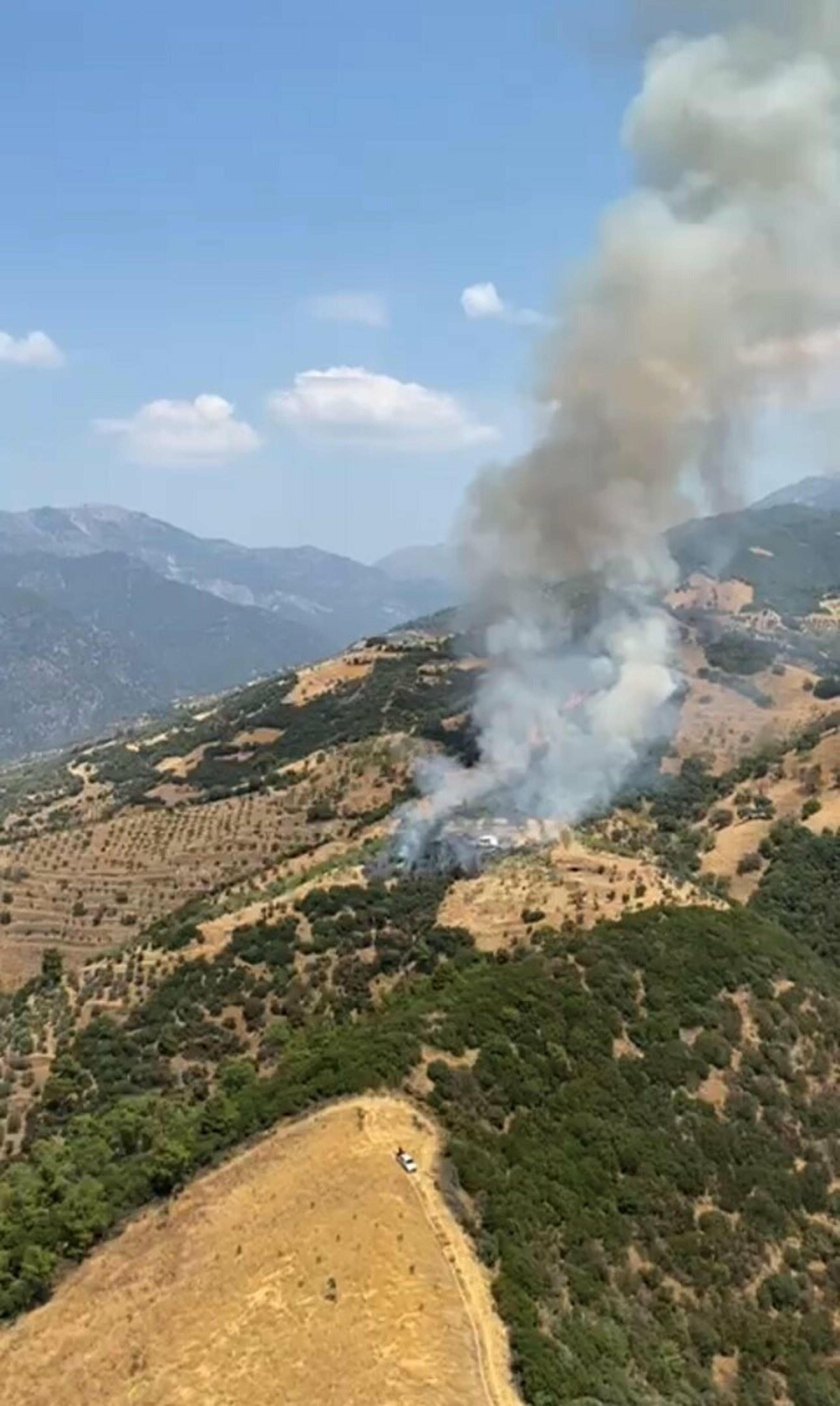 zeytinlik yangininin ardindaki gercek ofkeli kadin itiraf etti 3