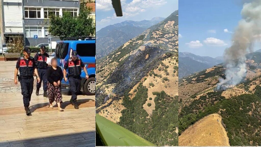 zeytinlik yangininin ardindaki gercek ofkeli kadin itiraf etti 9sH1cwvT