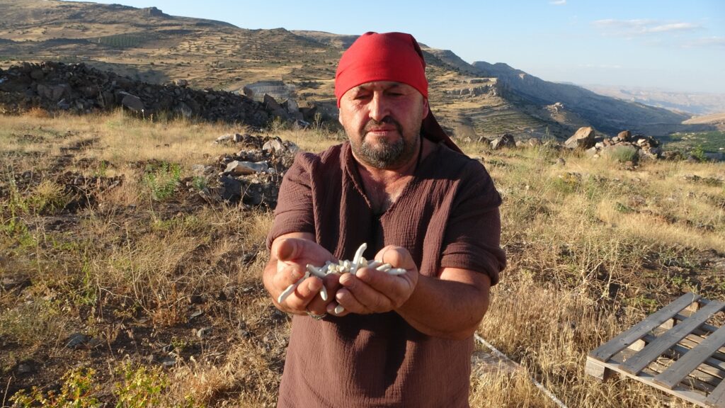 altinla yarisiyor kilosu 10 bin tl pcEMtYbY