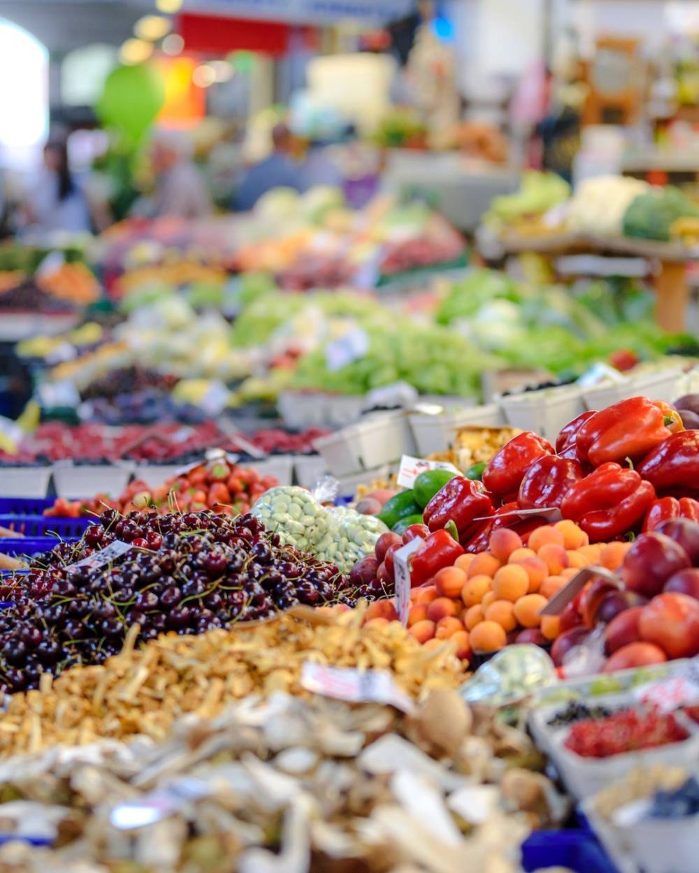 anfas fresh antalya 18 eylulde kapilarini ziyaretcilerine aciyor 2