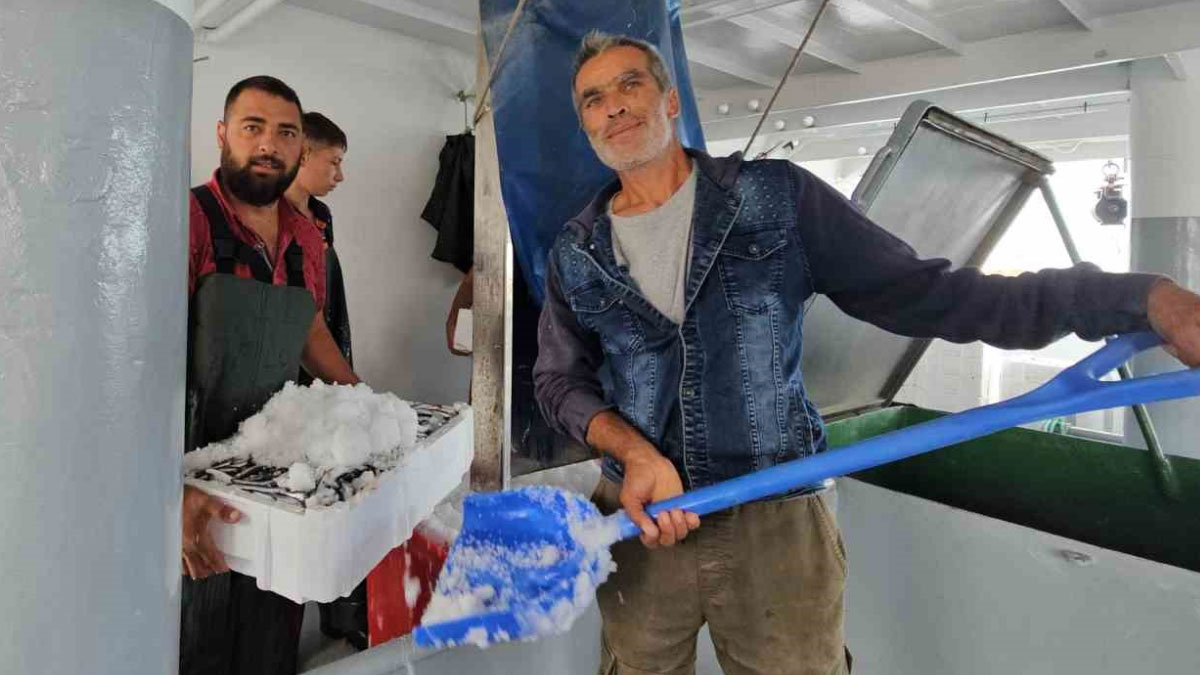 balik fiyatlari ile ilgili sevindiren haber 1 ay sonra ucuzlayacak 0 rLhfPzV2