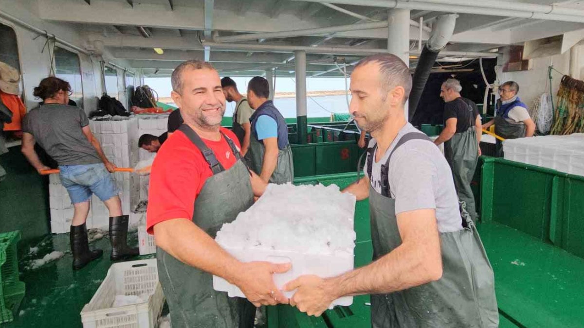balik fiyatlari ile ilgili sevindiren haber 1 ay sonra ucuzlayacak 1 C3b8EavC