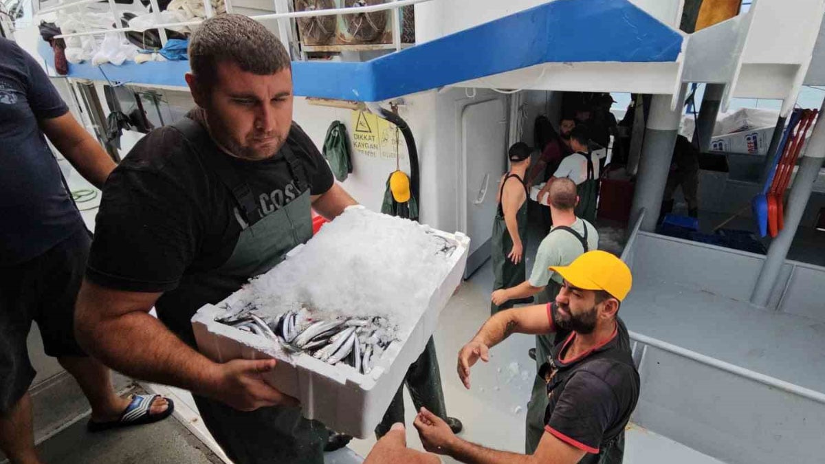 balik fiyatlari ile ilgili sevindiren haber 1 ay sonra ucuzlayacak 2 IhJQg4Aj
