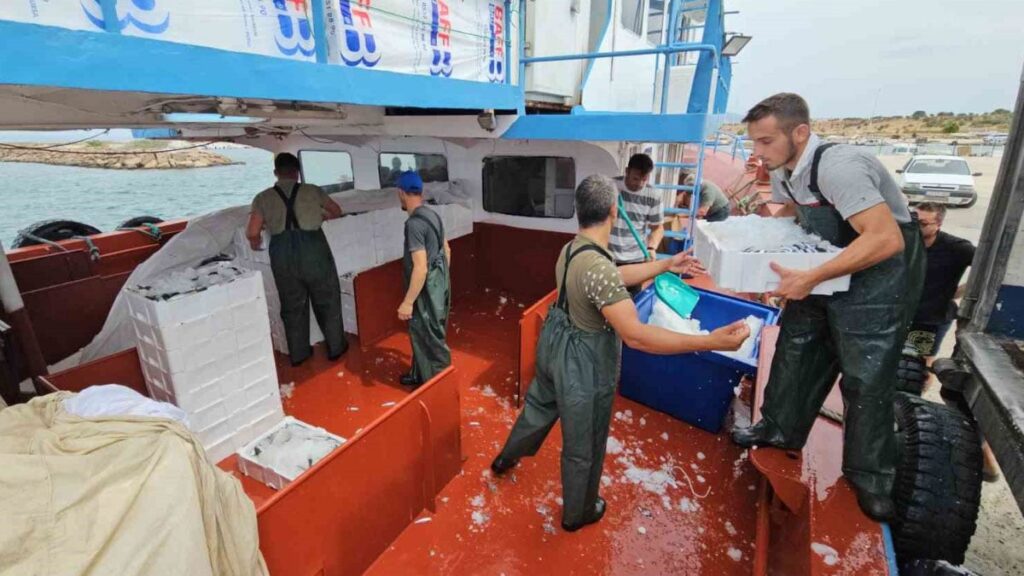 balik fiyatlari ile ilgili sevindiren haber 1 ay sonra ucuzlayacak fvzxthc3