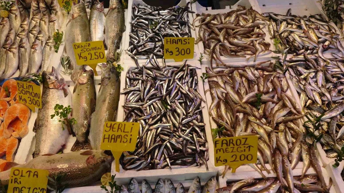 balikci palamuttan umudunu kesti hamsi ve istavrit ile teselli buluyor 1 J9j4Kgrf