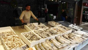 balikci palamuttan umudunu kesti hamsi ve istavrit ile teselli buluyor nbdbeJ73