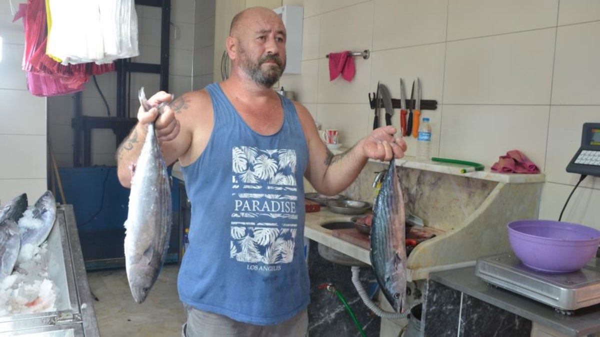 balikcilar avdan donus yapti torik bollugu yasaniyor tanesi 800 tl 0 pBjrVHgZ