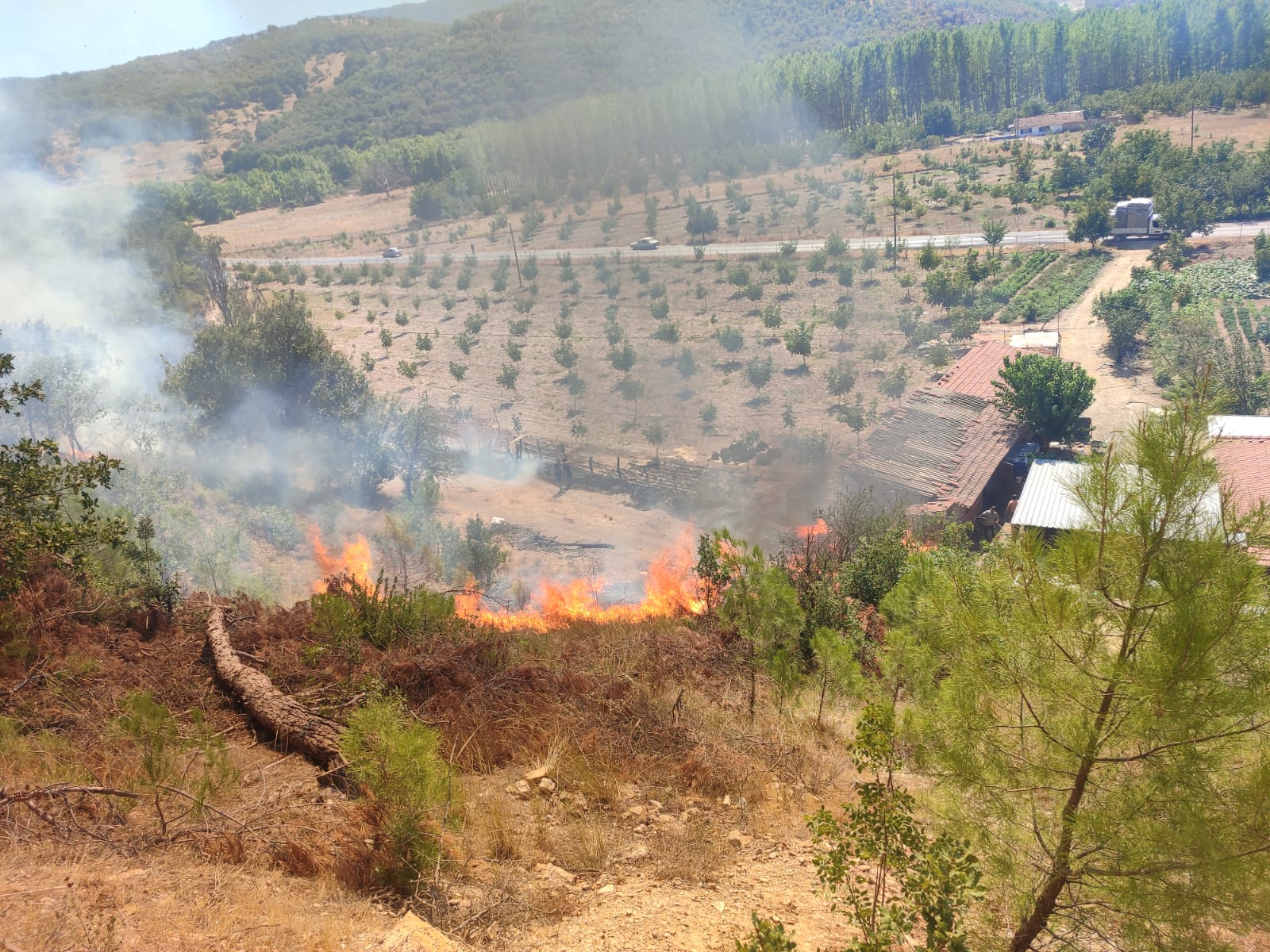 balikesirde orman yangini ekipler sondurmek icin seferber oldu 0 mfReODPG