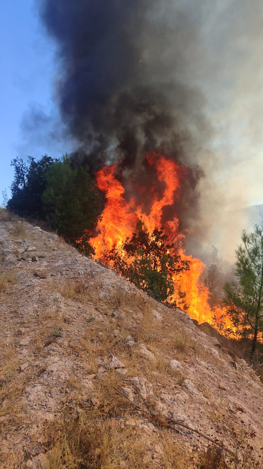 balikesirde orman yangini ekipler sondurmek icin seferber oldu 1 XF4VaiyJ