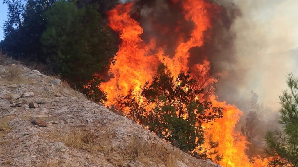 balikesirde orman yangini ekipler sondurmek icin seferber oldu wfGKZm7f
