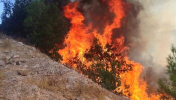 balikesirde orman yangini ekipler sondurmek icin seferber oldu wfGKZm7f