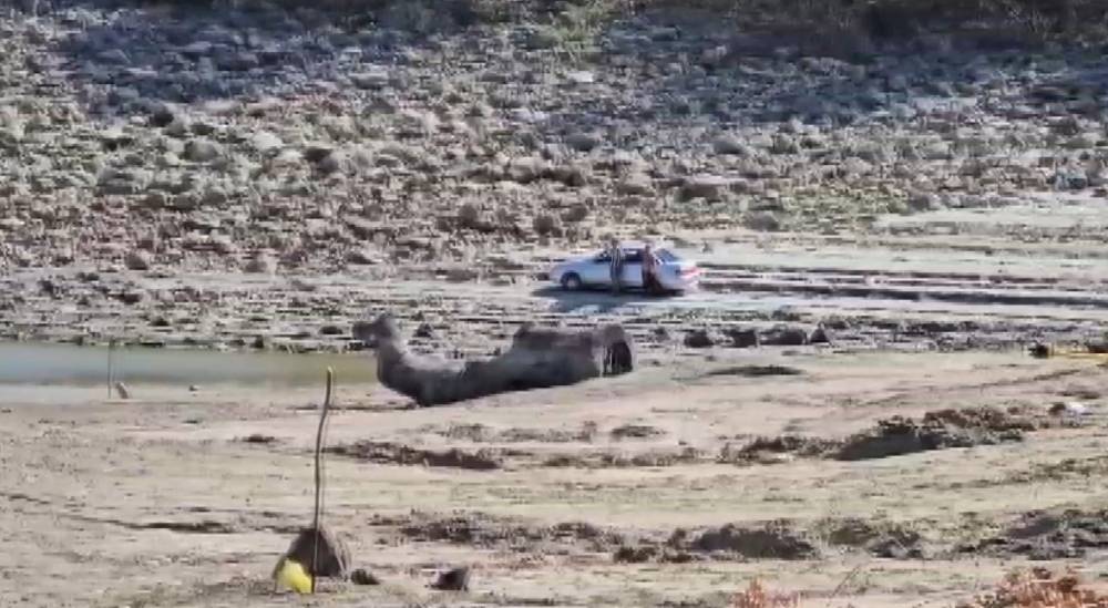 bursadaki 42 yillik cinarli goleti adeta can cekisiyor 8 ffeV9zrI