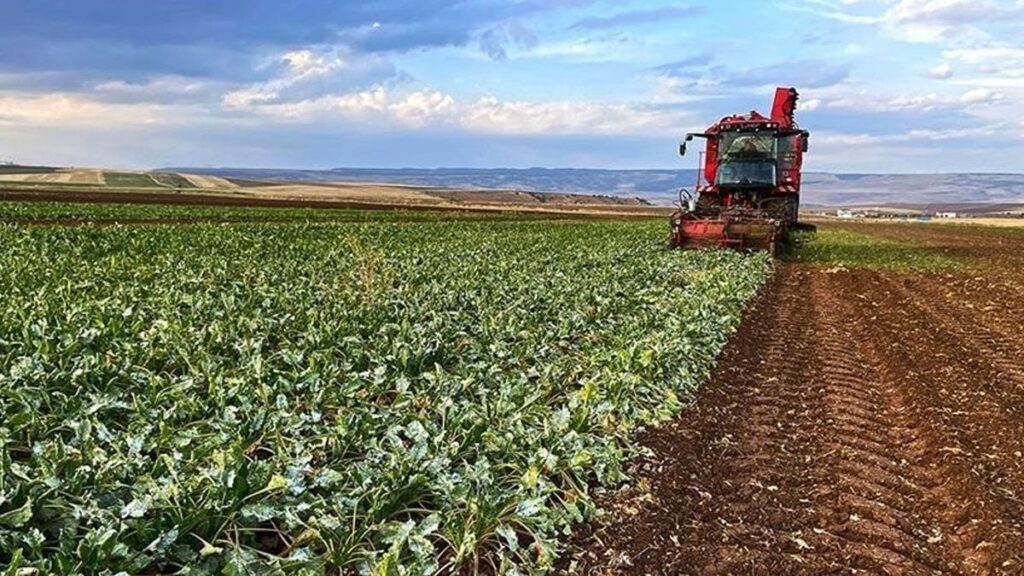 buyuksehir belediyesinden dev destek cSwEIdnZ