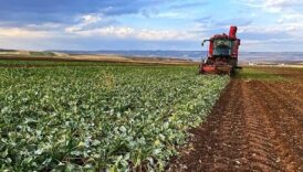 buyuksehir belediyesinden dev destek cSwEIdnZ