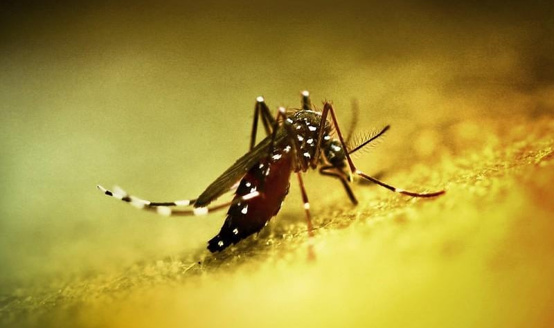 cin acil durum ilan etti dunya diken ustunde ikinci koronavirus vakasi mi 1 ZPPFwNAr