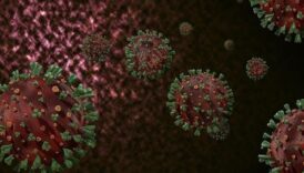 cin acil durum ilan etti dunya diken ustunde ikinci koronavirus vakasi mi M6VTIqZe