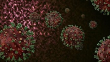 cin acil durum ilan etti dunya diken ustunde ikinci koronavirus vakasi mi M6VTIqZe