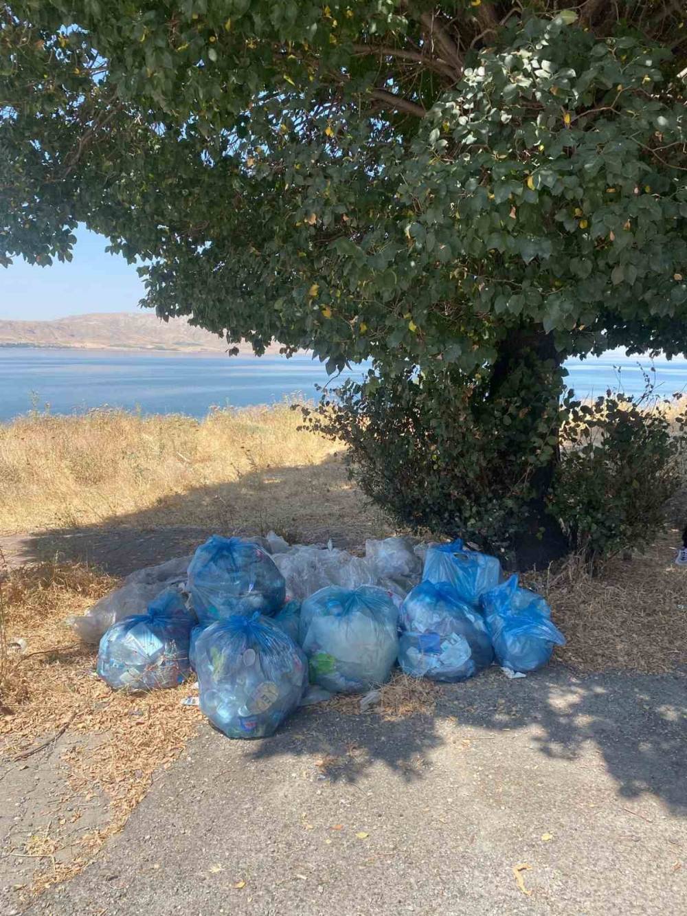 dogaseverler van golu sahilini duzene soktu 1 cIKdzBeB