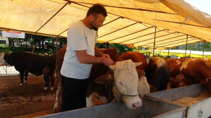 hayvan pazarlari icin beklenen aciklama geldi 6 ilde kapatilmisti 0