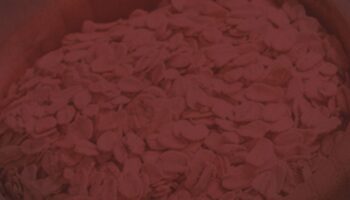insulin direnci ve bagirsak sagligi icin bir numara doganin seker silahi r9iTqb2p