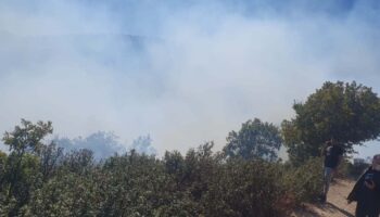 konyada orman yangini kisa surede sonduruldu VYUeMjrx