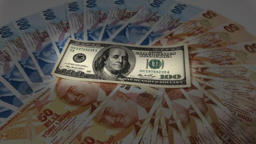 reel efektif doviz kuru endeksi agustosta 6984 oldu dOkvTsIQ