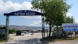 sap hastaligi alarma gecirdi sehirde hayvan pazari kapatildi 2tfQpOGK