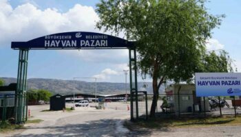sap hastaligi alarma gecirdi sehirde hayvan pazari kapatildi 2tfQpOGK