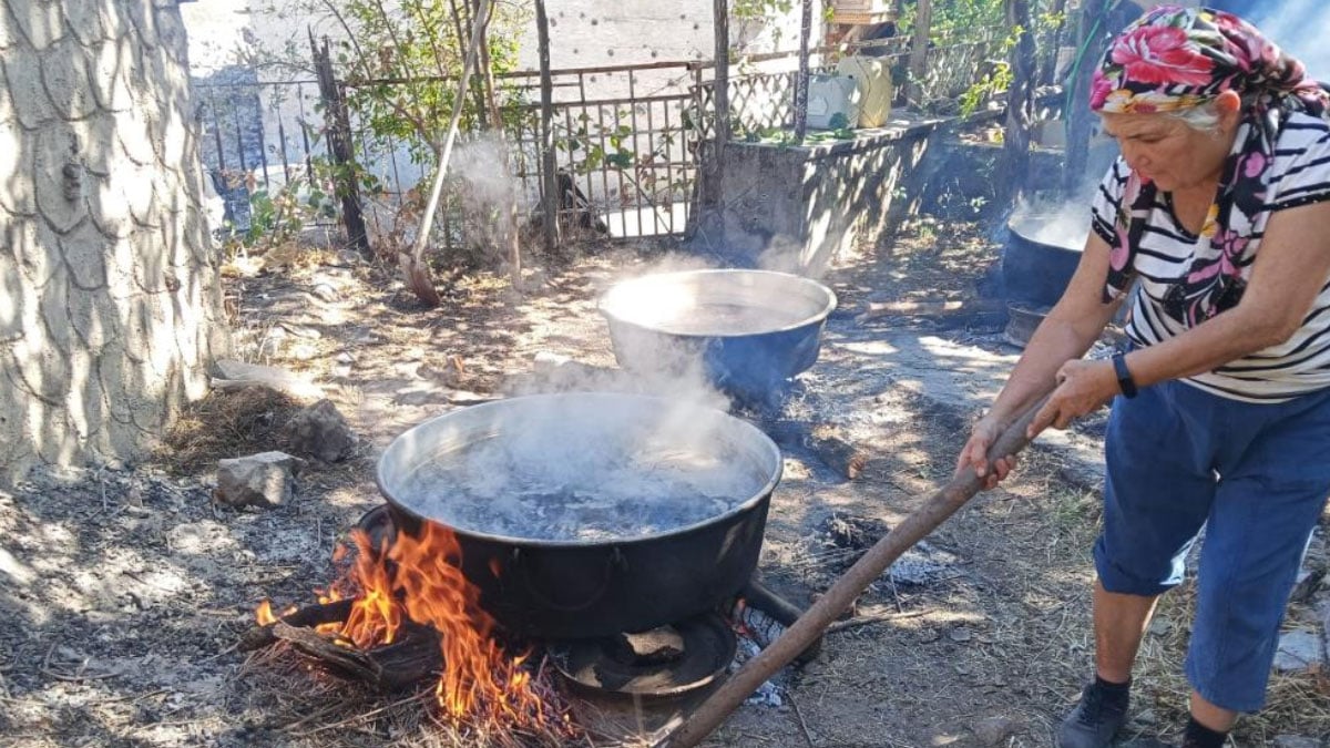 sezon acildi vatandas uretime basladi kilosu 500 liradan satiliyor 3