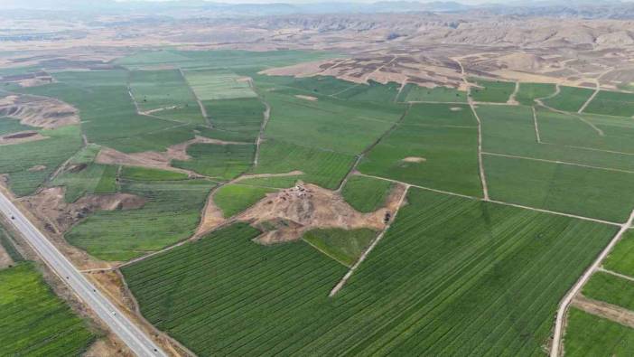 tuik duyurdu iste fiyati en cok dusen urun 0 DZbsuyjC