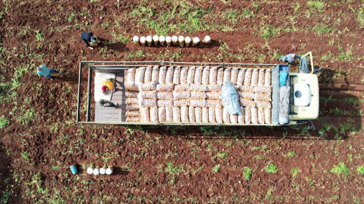 tuik duyurdu iste fiyati en cok dusen urun 1 TL9aAqFI